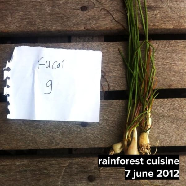 Wild Kucai Kucai was used in Slow Charcoal Roasted Chicken with Fried Wild Kucai plants and fungus and Black Trumpet Duxelle Mousse.