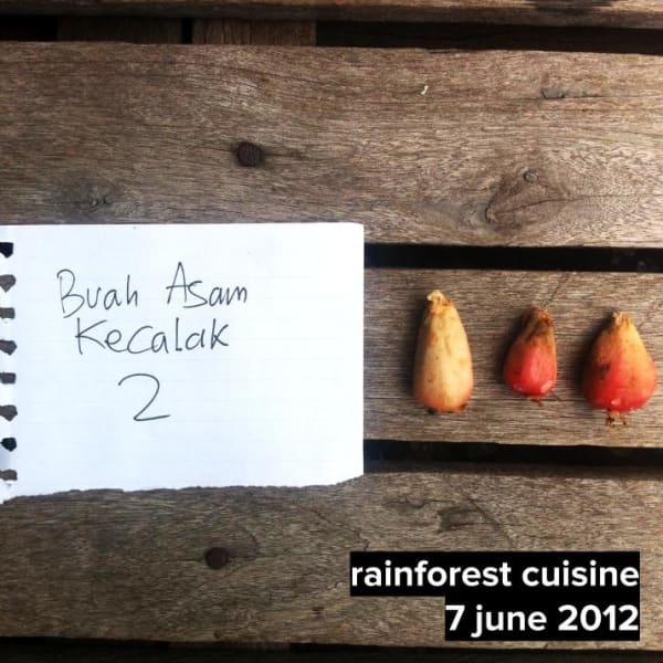 BUAH ASAM KECALAK This was used in the Hay Smoked Seafood with Buah Asam Kecelak caviar and Bitter Daun Sing Kong coulis.