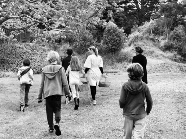 1D0994D6 70Cd 45F8 802C 0F01Eadad6E1 Copy