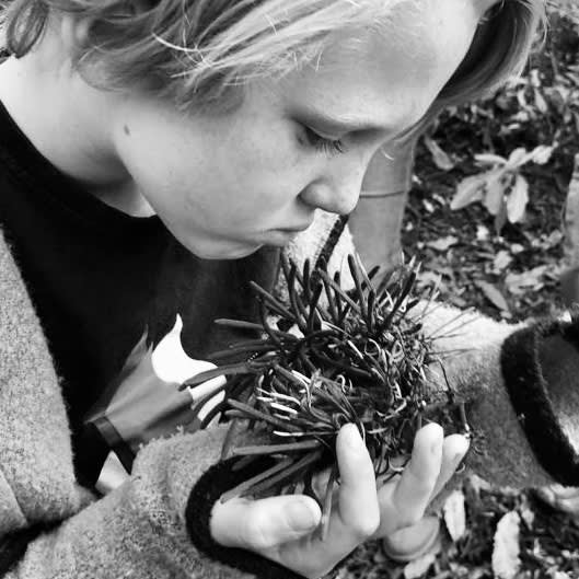 65096424 B57B 4B15 A53E B9E21Bfb15E3 Copy