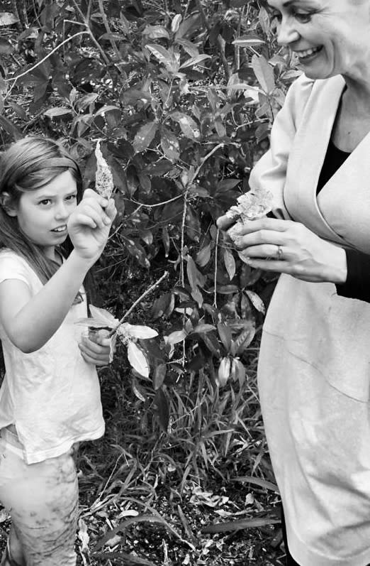 C5F4466D 5A6A 436E 8Ff6 Ab6C928A2144 Copy