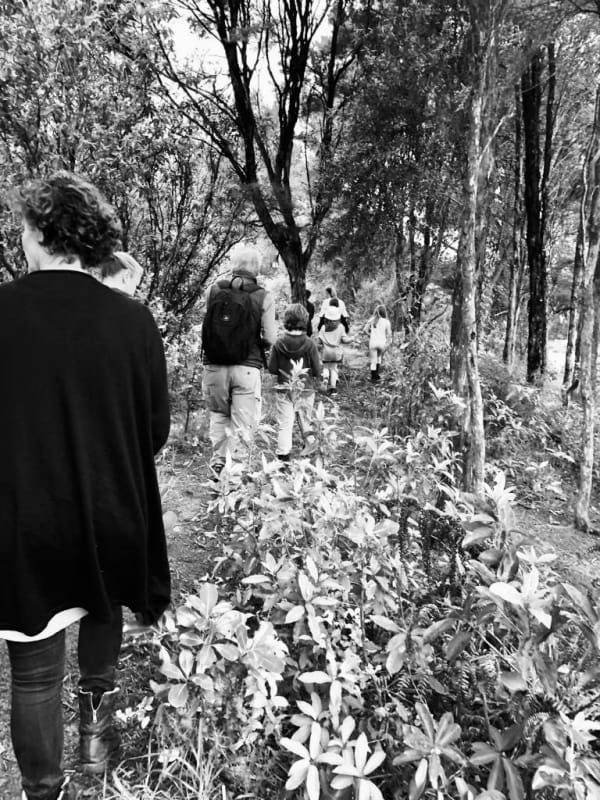 Dc6E81Ea 4Fd9 46B9 991B Ff7Bf27E7F10 Copy