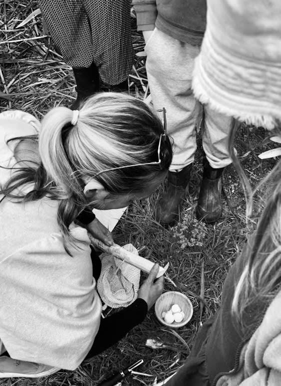 E5D41Dfc 9228 4808 Bcea 6A18Da4E999E Copy