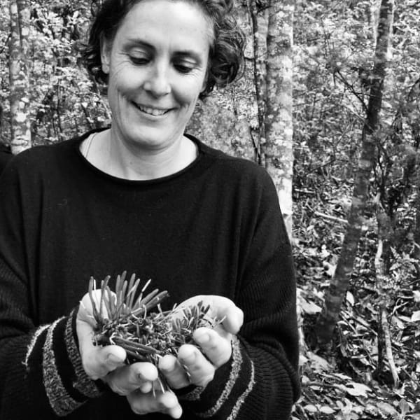 Fe55B77D Bd98 4C49 Acd3 Dcd8C6F5B4C9 Copy