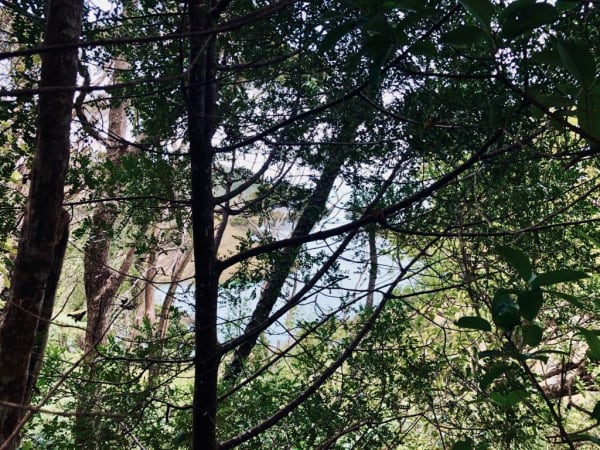 Fe5F32Fd 8A8A 456F A88A 5F4F6382E5Cb Copy