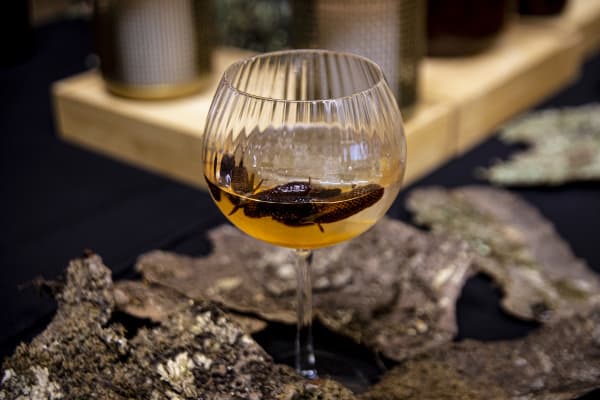 Kauri cocktails refer to the taste aspect of the multi-sensory artwork. The cocktail is made from a wild ferment infusion made from Kauri cones, a light syrup and the yeast from air around the artist's studio in the forest of the Waitakere ranges. The infusion can be drunk on its own or added to ice and soda water (or champagne) added to create a cocktail celebrating the wisdom and longevity of Kauri.