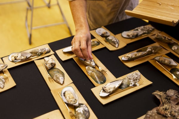 Pickled Mamaku Fern with Cucumber and Green Chili on Mussels.