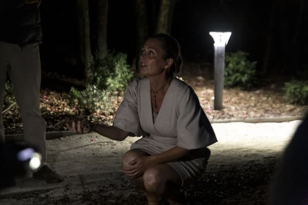 During Autumn, it sheds male and female cones. The female cones contain the seeds.