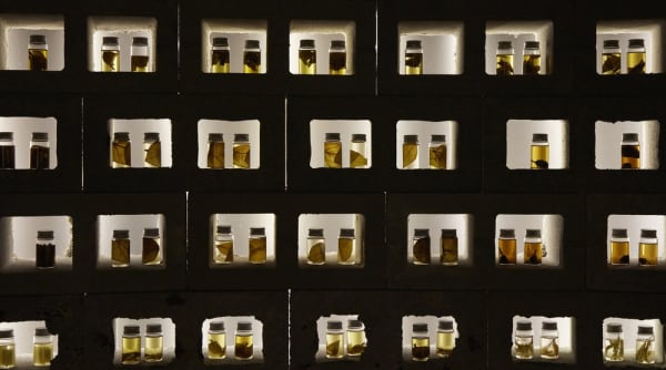 Treasure Island By Mamakan National Museum Of Singapore Art Installation View 12