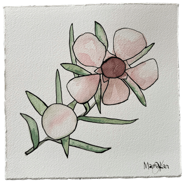 MAMAKAN, Mānuka One 2/3, 2025