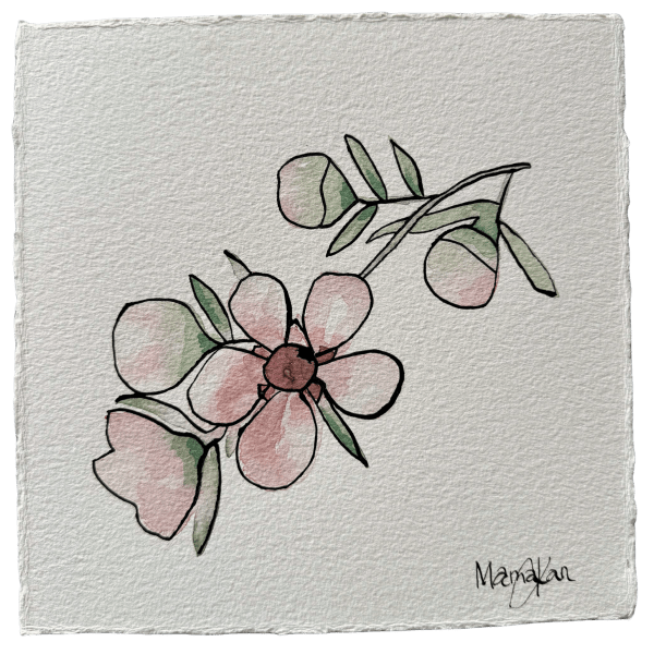 MAMAKAN, Mānuka One 3/3, 2025