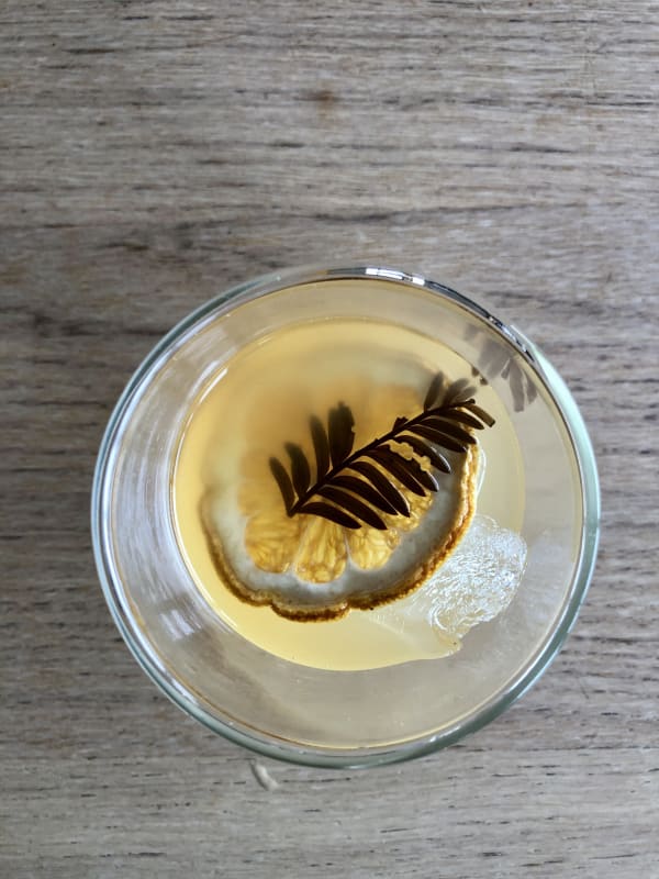 Velskov | Friday in the Forest