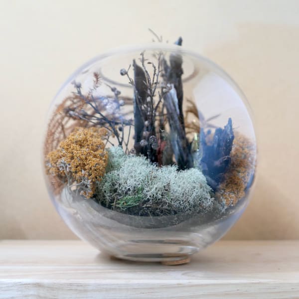 Open Studios Waitākere 2022