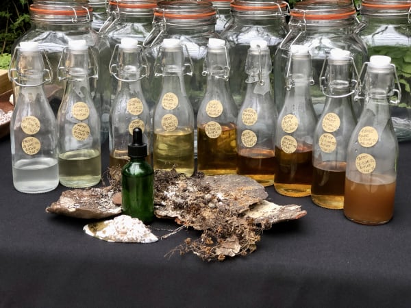 GastroGeography x Auckland Central, Auckland University of Technology