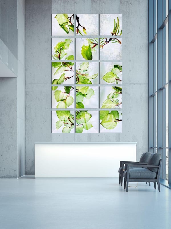 When We Are One Kawakawa (Piper excelsum)