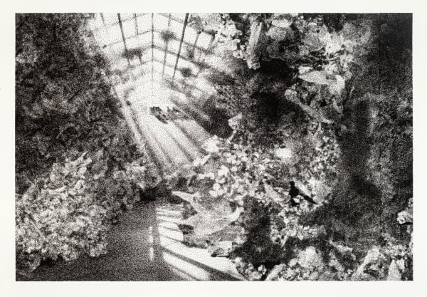 Sarah Maria Scicluna, An Emerald Victory, 2024