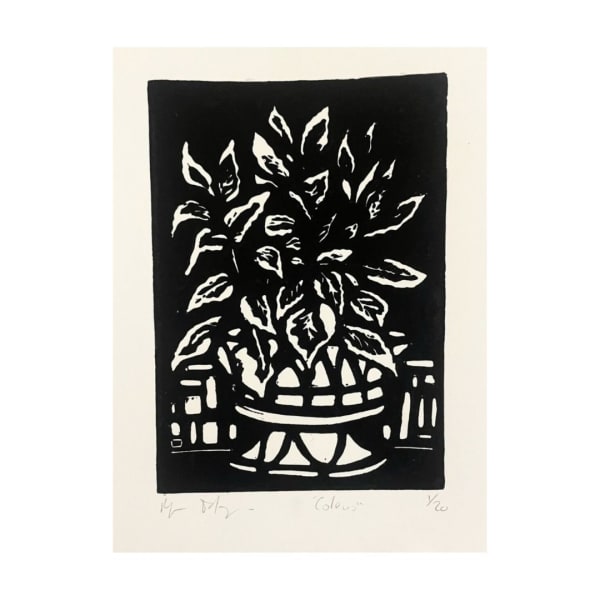 Ryan Falzon, Coleus , 2023