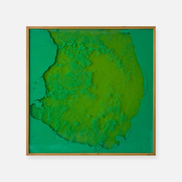 Manuel Mérida, Monochrome Vert N2, 2000