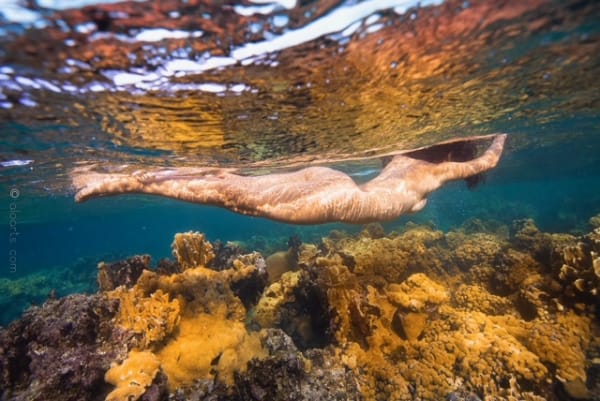 Contemporary art Painting of nude women swimming under water with brownish rocks under her