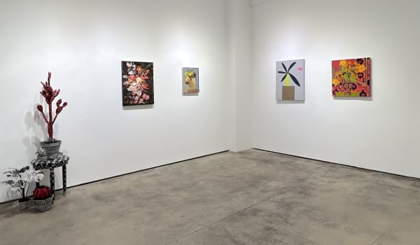 Installation views of an exhibition