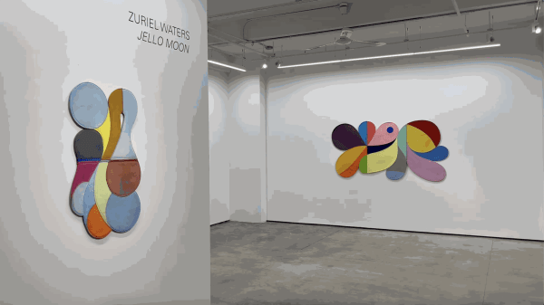 Installation view of Zuriel Water's exhibition "Jello Moon."
