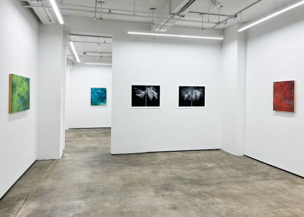 Installation image of Tamar Zinn's solo exhibition "Standing in the Stream."