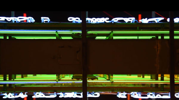 Kowloon City Neon 11