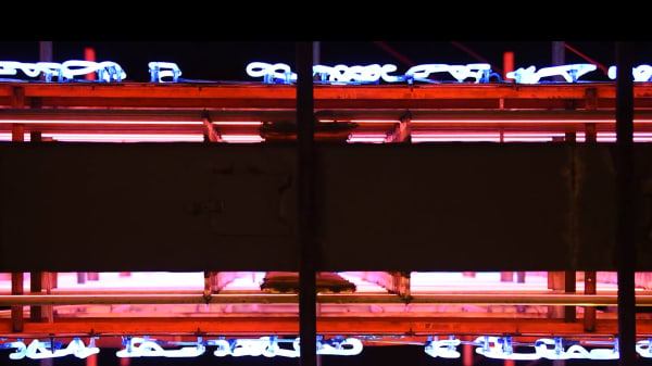 Kowloon City Neon 12