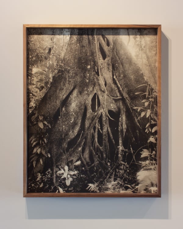 Acop Marshallgallery 24