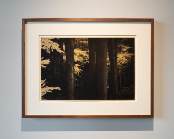 Albarran Cabrera Marshall Gallery 15