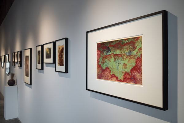 Albarran Cabrera Marshall Gallery 26