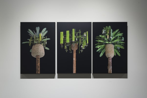 Works by Kaya & Blank.