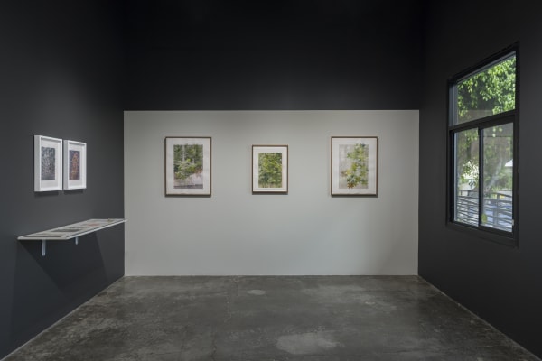 20230930 Marshall Gallery Ds Stern 1