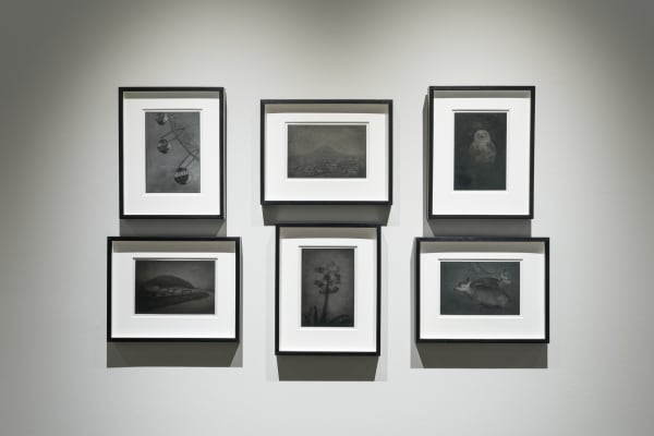 Works by Chieko Shiraishi