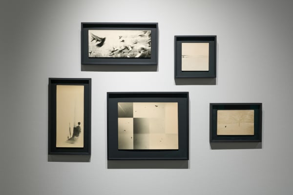 Works by Miho Kajioka