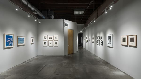 20251108 Shadows 3200Px 15