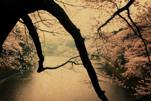 Albarrán Cabrera, The Mouth of Krishna, #278, 2013