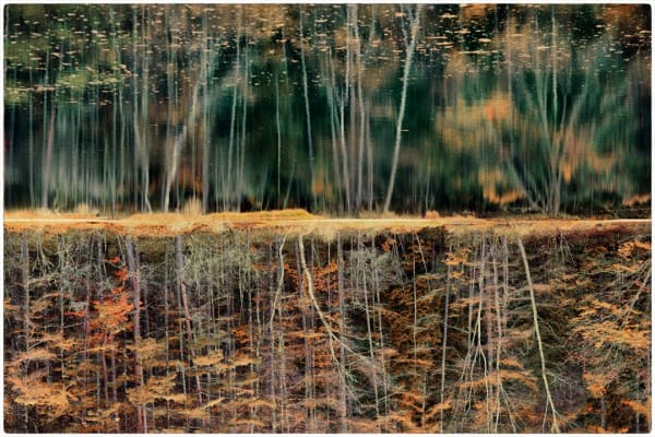 Albarrán Cabrera, Kairos, #4038, 2016