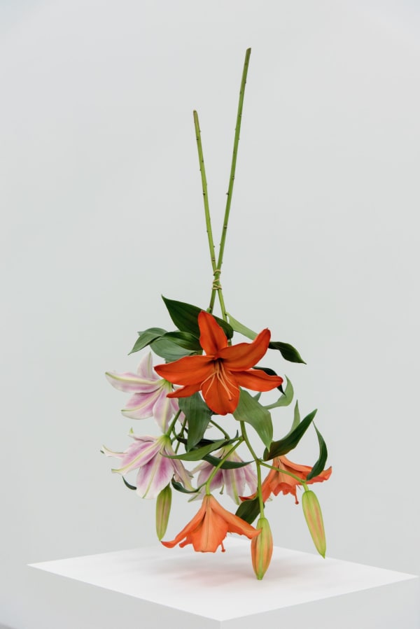 The Must-See Artists and Texas Players of The Armory Show, ‘New York’s Art Fair’