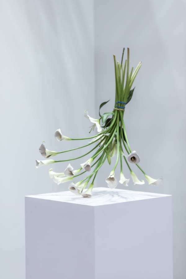 Arrangements by Tony Matelli at The Armory Show Photo by Charles Roussel
