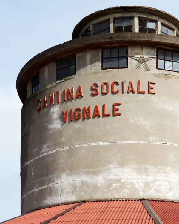 Panorama Monferrato 2024 Comune Di Vignale Cantina Sociale Courtesy Italics Photo Louisdebelle 2