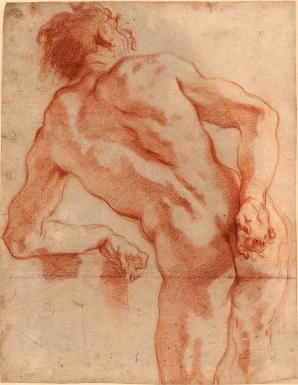 Novità, News | Actualités