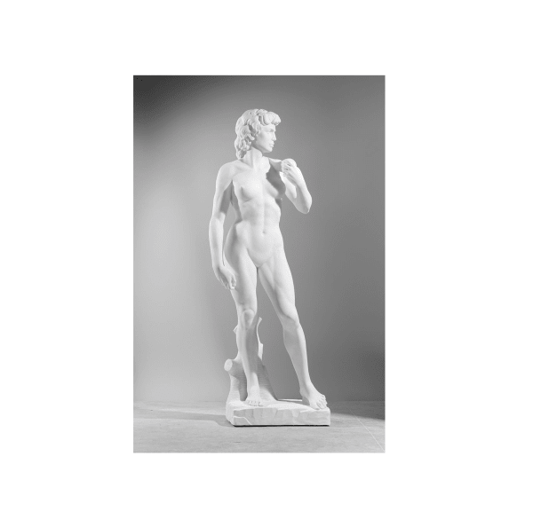 Michelangelo 2020 featured in a new book