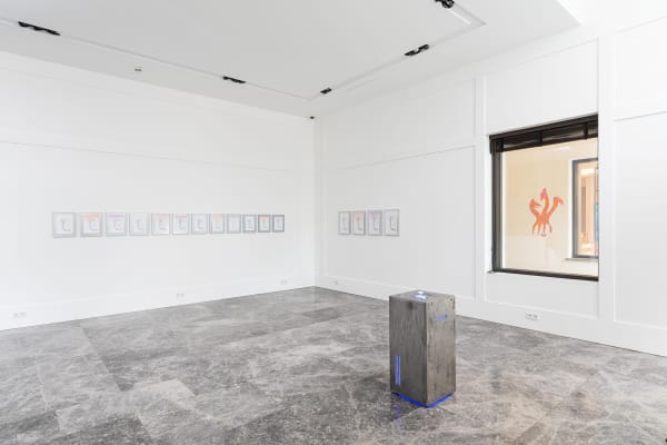 3 Niko Brienner 12 27 Von 244