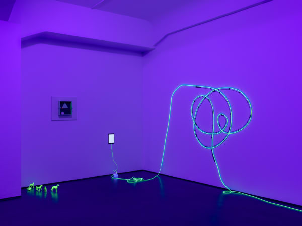 Installation Views 4 4 Brigitte Kowanz Marjorie 01