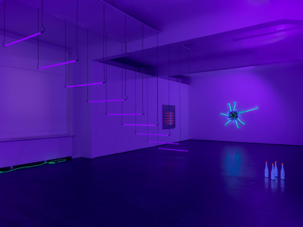 Installation Views 4 4 Brigitte Kowanz Marjorie 02