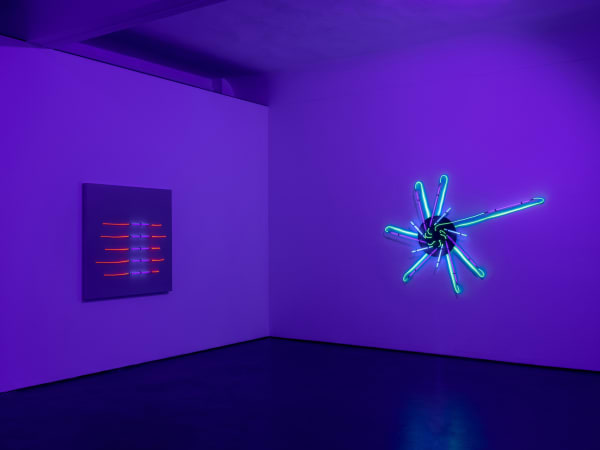 Installation Views 4 4 Brigitte Kowanz Marjorie 03