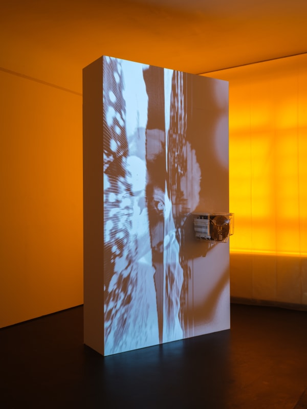 Installation View Justin Urbach Fractal Breeze 2023 Marjorie Brunet Plaza 19 Web