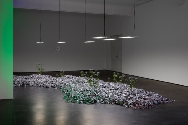 Installation View Anima Atman 2024 Marjorie Brunet Plaza 1 Web