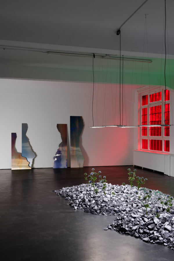 Installation View Anima Atman 2024 Marjorie Brunet Plaza 3 Web